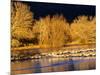 USA, New Mexico, Bosque del Apache, Sandhill cranes at dawn-Terry Eggers-Mounted Photographic Print