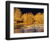 USA, New Mexico, Bosque del Apache, Sandhill cranes at dawn-Terry Eggers-Framed Photographic Print