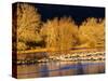 USA, New Mexico, Bosque del Apache, Sandhill cranes at dawn-Terry Eggers-Stretched Canvas