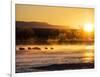 USA, New Mexico, Bosque del Apache, Sandhill cranes at dawn-Terry Eggers-Framed Photographic Print