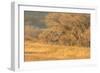 USA, New Mexico, Bosque del Apache. Sandhill cranes flying at sunset.-Jaynes Gallery-Framed Photographic Print