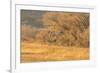 USA, New Mexico, Bosque del Apache. Sandhill cranes flying at sunset.-Jaynes Gallery-Framed Photographic Print