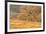 USA, New Mexico, Bosque del Apache. Sandhill cranes flying at sunset.-Jaynes Gallery-Framed Photographic Print