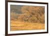 USA, New Mexico, Bosque del Apache. Sandhill cranes flying at sunset.-Jaynes Gallery-Framed Premium Photographic Print