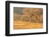 USA, New Mexico, Bosque del Apache. Sandhill cranes flying at sunset.-Jaynes Gallery-Framed Photographic Print