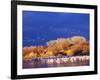 USA, New Mexico, Bosque del Apache-Terry Eggers-Framed Photographic Print