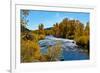 USA, New Mexico, Fall along Rio Chama River.-Bernard Friel-Framed Premium Photographic Print