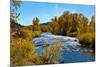 USA, New Mexico, Fall along Rio Chama River.-Bernard Friel-Mounted Premium Photographic Print