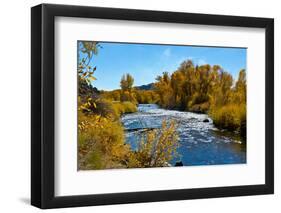 USA, New Mexico, Fall along Rio Chama River.-Bernard Friel-Framed Photographic Print