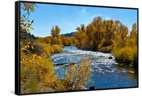 USA, New Mexico, Fall along Rio Chama River.-Bernard Friel-Framed Stretched Canvas