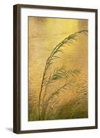 USA, New Mexico. Grass and Sky Reflections in the Chama River-Jaynes Gallery-Framed Photographic Print