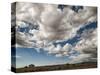 USA, New Mexico, Homestead-Ann Collins-Stretched Canvas