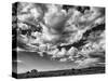 USA, New Mexico, Homestead-Ann Collins-Stretched Canvas