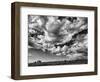 USA, New Mexico, Homestead-Ann Collins-Framed Photographic Print