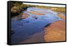 USA, New Mexico, Los Ranchos Fall Acequia, Cottonwood foliage-Connie Bransilver-Framed Stretched Canvas