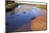 USA, New Mexico, Los Ranchos Fall Acequia, Cottonwood foliage-Connie Bransilver-Mounted Photographic Print