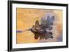USA, New Mexico. Oak Leaf in Stream at Ghost Ranch-Jaynes Gallery-Framed Photographic Print