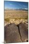 USA, New Mexico. Petroglyph on Rock at Three Rivers Petroglyphs Site-Jaynes Gallery-Mounted Photographic Print