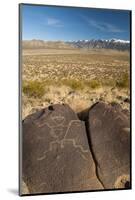 USA, New Mexico. Petroglyph on Rock at Three Rivers Petroglyphs Site-Jaynes Gallery-Mounted Photographic Print