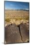 USA, New Mexico. Petroglyph on Rock at Three Rivers Petroglyphs Site-Jaynes Gallery-Mounted Photographic Print