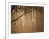 USA, New Mexico. Rosaries hang from a tree outside of the Loretto Chapel in Santa Fe.-Deborah Winchester-Framed Photographic Print