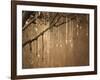 USA, New Mexico. Rosaries hang from a tree outside of the Loretto Chapel in Santa Fe.-Deborah Winchester-Framed Photographic Print