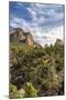 USA, New Mexico, Sandia Mountains. Mountain and forest landscape.-Jaynes Gallery-Mounted Photographic Print