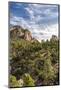 USA, New Mexico, Sandia Mountains. Mountain and forest landscape.-Jaynes Gallery-Mounted Photographic Print