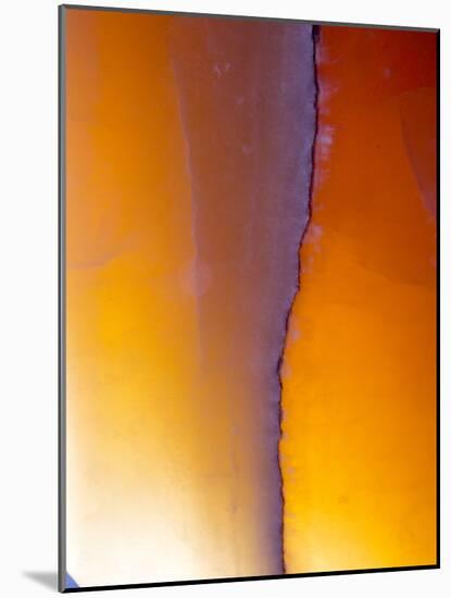 USA, New Mexico, Sant Fe, Agate Close-up, Macro-Terry Eggers-Mounted Photographic Print