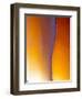 USA, New Mexico, Sant Fe, Agate Close-up, Macro-Terry Eggers-Framed Photographic Print