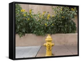 USA, New Mexico, Santa Fe. Fire Hydrant Downton Santa Fe, New Mexico-Luc Novovitch-Framed Stretched Canvas