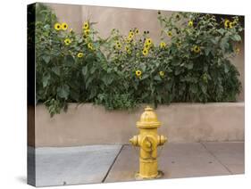 USA, New Mexico, Santa Fe. Fire Hydrant Downton Santa Fe, New Mexico-Luc Novovitch-Stretched Canvas