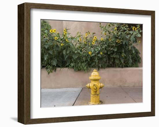 USA, New Mexico, Santa Fe. Fire Hydrant Downton Santa Fe, New Mexico-Luc Novovitch-Framed Premium Photographic Print