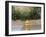 USA, New Mexico, Santa Fe. Fire Hydrant Downton Santa Fe, New Mexico-Luc Novovitch-Framed Premium Photographic Print