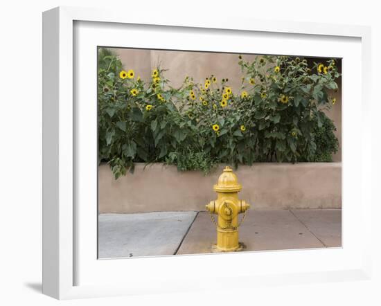 USA, New Mexico, Santa Fe. Fire Hydrant Downton Santa Fe, New Mexico-Luc Novovitch-Framed Premium Photographic Print