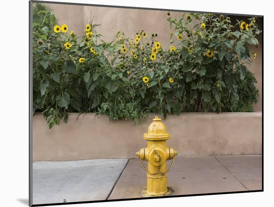 USA, New Mexico, Santa Fe. Fire Hydrant Downton Santa Fe, New Mexico-Luc Novovitch-Mounted Premium Photographic Print