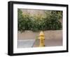 USA, New Mexico, Santa Fe. Fire Hydrant Downton Santa Fe, New Mexico-Luc Novovitch-Framed Photographic Print