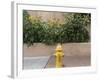 USA, New Mexico, Santa Fe. Fire Hydrant Downton Santa Fe, New Mexico-Luc Novovitch-Framed Photographic Print