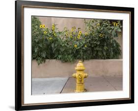 USA, New Mexico, Santa Fe. Fire Hydrant Downton Santa Fe, New Mexico-Luc Novovitch-Framed Photographic Print