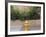 USA, New Mexico, Santa Fe. Fire Hydrant Downton Santa Fe, New Mexico-Luc Novovitch-Framed Photographic Print