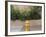 USA, New Mexico, Santa Fe. Fire Hydrant Downton Santa Fe, New Mexico-Luc Novovitch-Framed Photographic Print