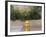 USA, New Mexico, Santa Fe. Fire Hydrant Downton Santa Fe, New Mexico-Luc Novovitch-Framed Photographic Print