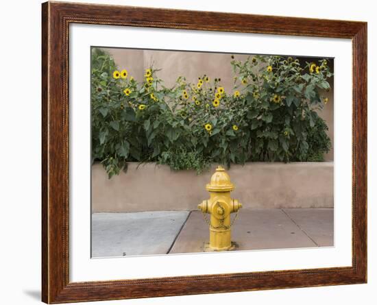 USA, New Mexico, Santa Fe. Fire Hydrant Downton Santa Fe, New Mexico-Luc Novovitch-Framed Photographic Print