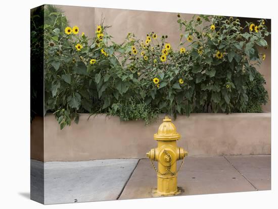 USA, New Mexico, Santa Fe. Fire Hydrant Downton Santa Fe, New Mexico-Luc Novovitch-Stretched Canvas