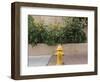 USA, New Mexico, Santa Fe. Fire Hydrant Downton Santa Fe, New Mexico-Luc Novovitch-Framed Photographic Print