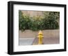 USA, New Mexico, Santa Fe. Fire Hydrant Downton Santa Fe, New Mexico-Luc Novovitch-Framed Photographic Print