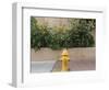 USA, New Mexico, Santa Fe. Fire Hydrant Downton Santa Fe, New Mexico-Luc Novovitch-Framed Photographic Print