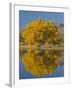 USA, New Mexico, Socorro, Bosque de Apache National Wildlife Refuge-Alan Copson-Framed Photographic Print