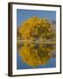 USA, New Mexico, Socorro, Bosque de Apache National Wildlife Refuge-Alan Copson-Framed Photographic Print