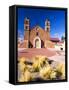 USA, New Mexico, Socorro, Mission San Miguel Socorro-Terry Eggers-Framed Stretched Canvas